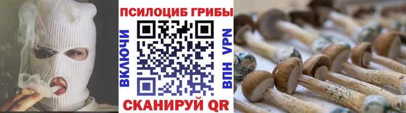 Псилоцибиновые грибы мицелий  что такое   Тарко-Сале 