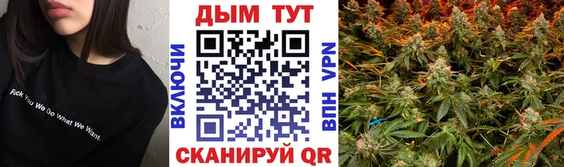 где купить   Тарко-Сале  Бошки Шишки White Widow 